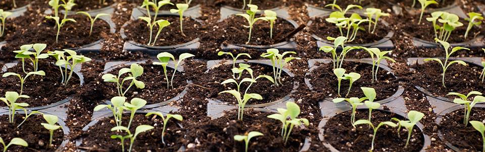 8 Ways to Prepare for Spring