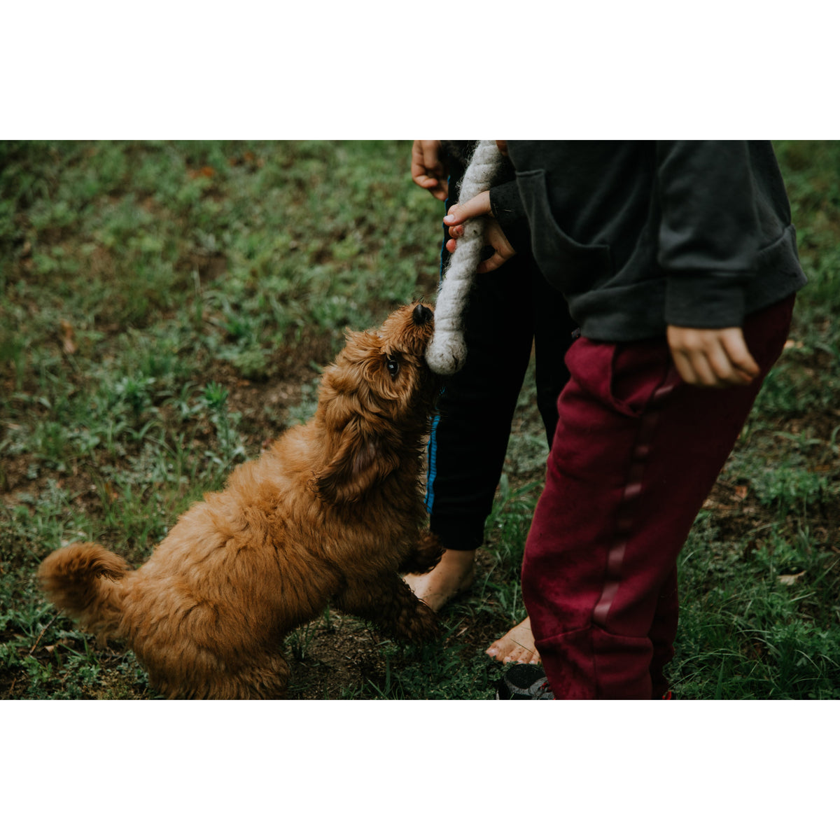 LooHoo Wooly Tug Toys