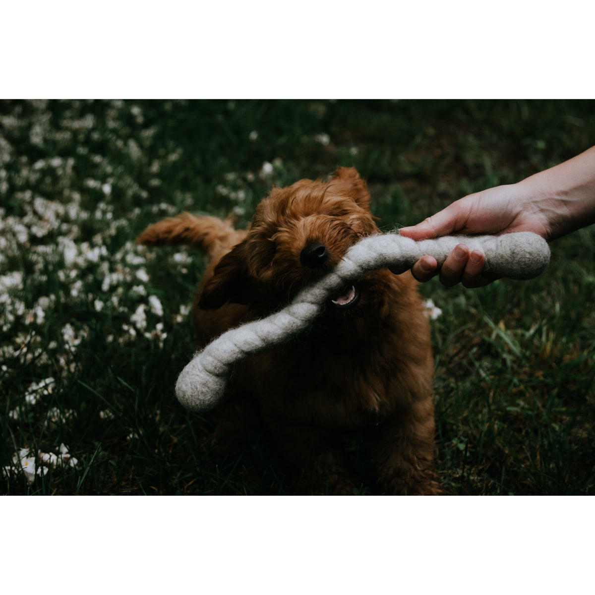 LooHoo Wooly Tug Toys